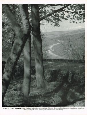 Upper Wharfedale in der Nähe von Skipton Yorkshire Vintage Bild alter Druck 1957 CLPBOY #13