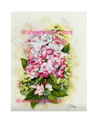 Sheerwatercolors Original Painting Hydrangeas Flowers Botanical Floral Decor
