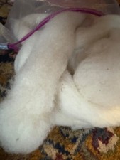 American Wool Roving natural off white for Needle Felting Spinning holiday craft