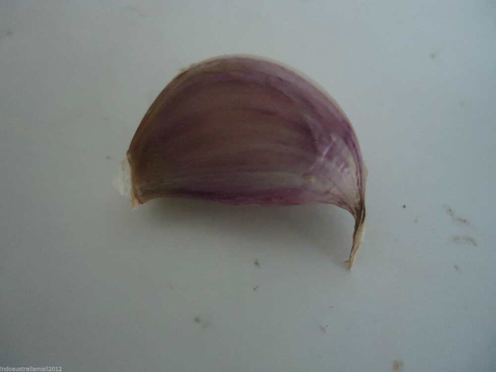 Picture 7 of 11