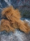 Bild 4 von 6