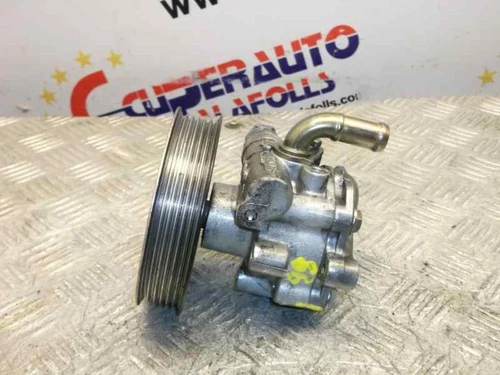 1J0422154A Pompa De Sterzo per VOLKSWAGEN GOLF IV BERLINA (1J1)(10.1997) 451154 - Imagen 1 de 4