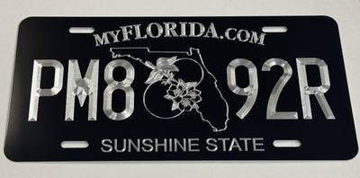Custom Florida FL Sunshine State Car Tag Diamond Etched Front License Plate
