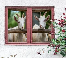 3D White Sheep A585 Window Film Print Sticker Cling Stained Glass UV Zoe