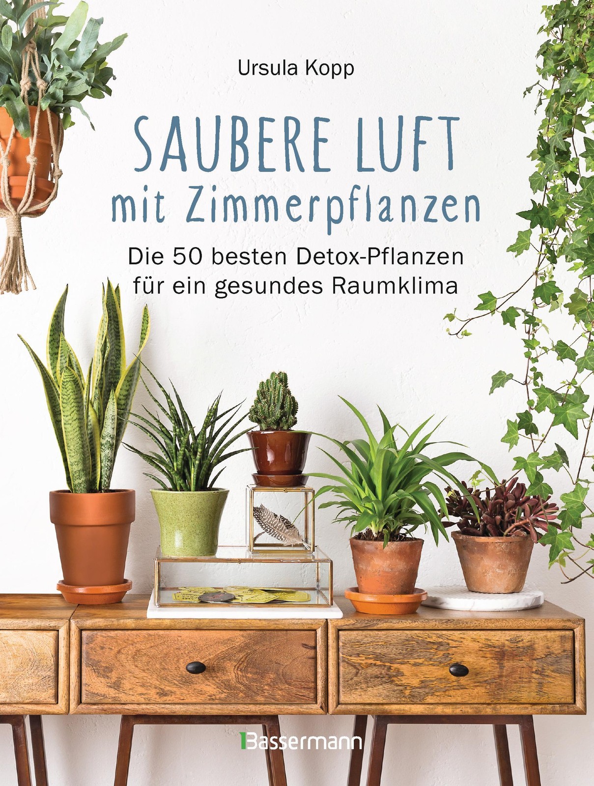 Saubere Luft Mit Zimmerpflanzen. Die 50 Besten Detox-Pflanzen Für Ein Gesundes Raumklima. Basiert Auf Der Nasa »Clean Air Study«. Kulturgeschichte - Bild 3