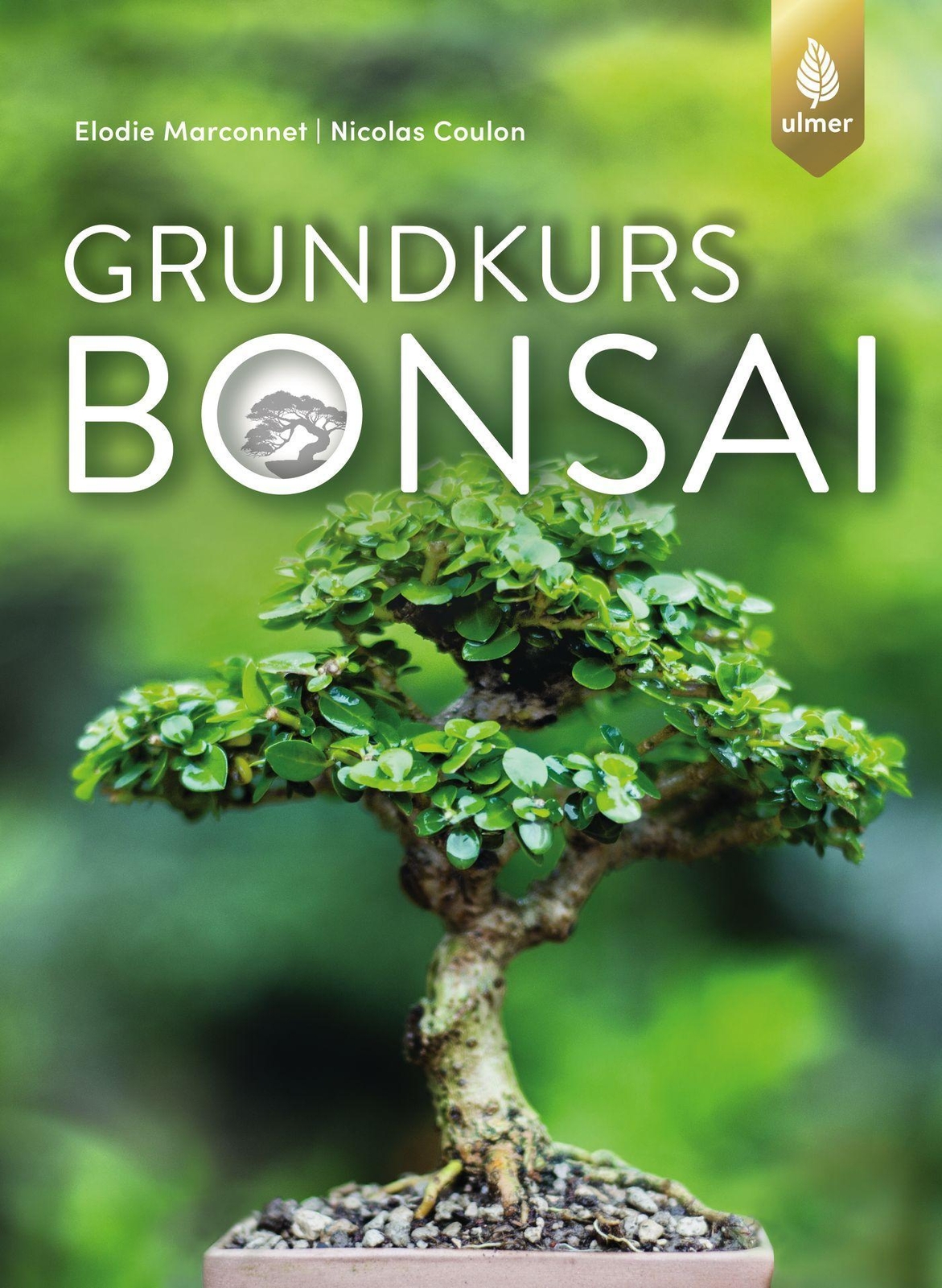 Grundkurs Bonsai Elodie Marconnet