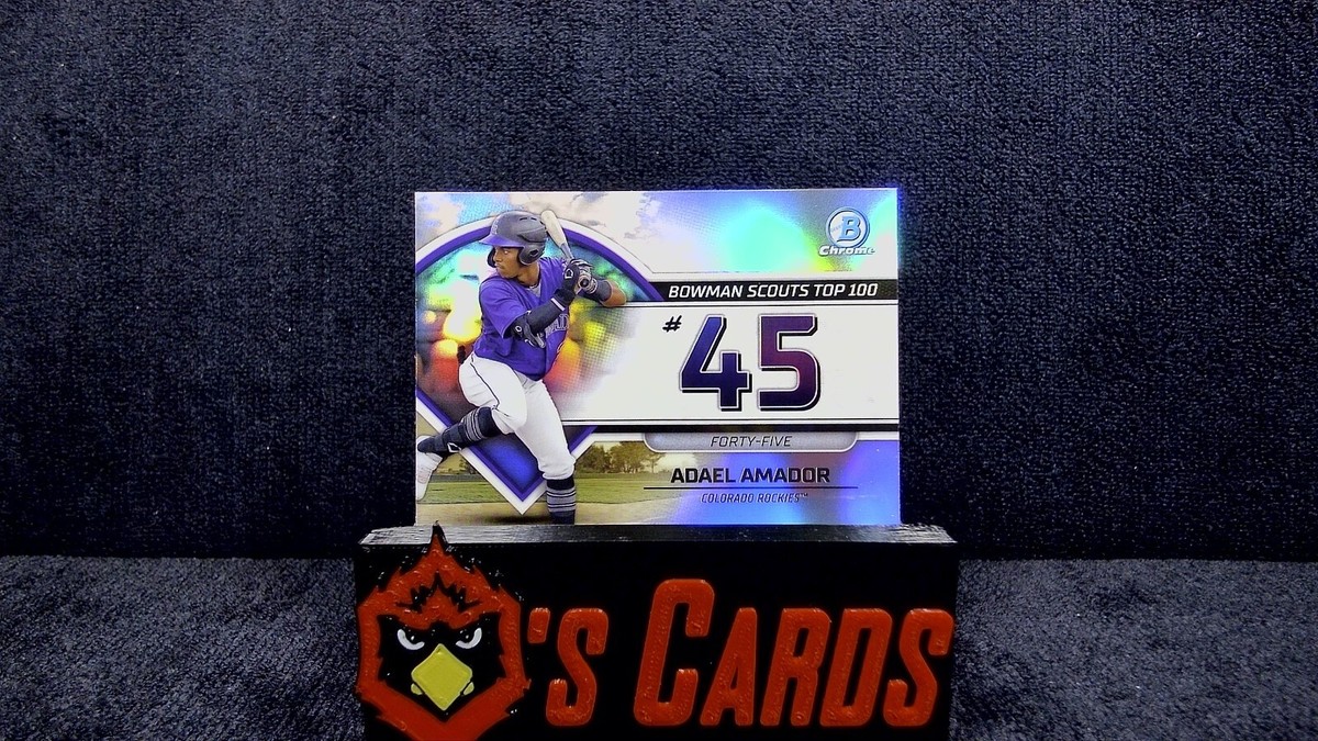 【GSS】ADLLER alpinablade limited100 Tool/Kit: Trekking Through Patagonia with Alpina's Alpiner