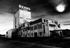 Saginaw BEANS Bunny Photograph Print - Mid-Michigan Landmark Souvenir Rabbit