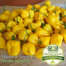 HOT Lemon Habanero Pepper Seeds | Non-GMO Garden Seeds from USA, Free Shipping