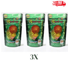 3x OKIKO Head up Flowerhorn Cichlid Platinum Head Huncher Color Faster