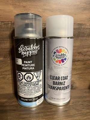 Porsche Spray Paint and Clearcoat M5E