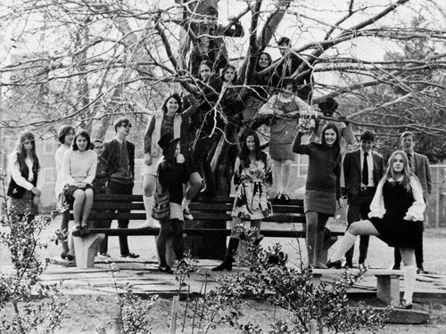1969 Washington DC Sidwell School Yearbook~Photos~History~Sports~Club~Dance~++++ - Picture 2 of 9