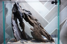  SCAPE-29 Nature Aquarium Aquascape Driftwood   1 Gallon