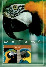 NEVIS - 2014 MNH "Beautiful Birds - MACAWS" Souvenir Sheet !!!!