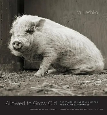 Allowed to Grow Old | Portraits of Elderly Animals from Farm Sanctuaries | Buch