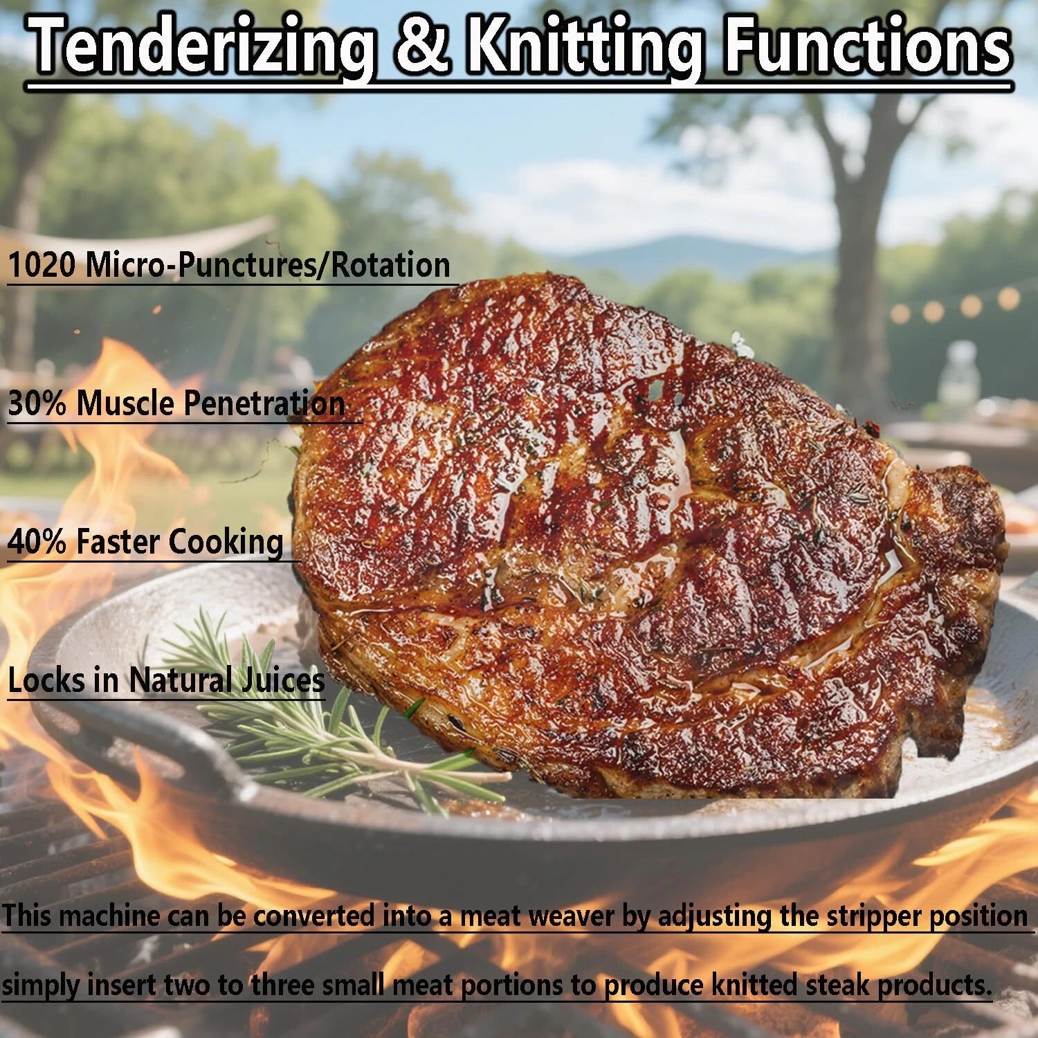 BIRO TENDERIZER Cradle Assembly Lift Out Unit for PRO 9 SIR Steak TA3130 W/Cover