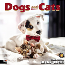 Select - Dogs  Cats 2026 Wall Calendar 12 Month  12" x 24" Open  Thick  Stur