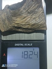 18,2 g "MOGUL" VERDE KYARA (FS) VERDE KYNAM OUD PIENO JINKOH ALOES AGAR WOOD 沈香木 