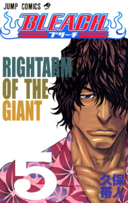 BLEACH(ジャンプコミック) BLEACH Vol.1-74 Jump Comics Shueisha Taito Kubo Manga book