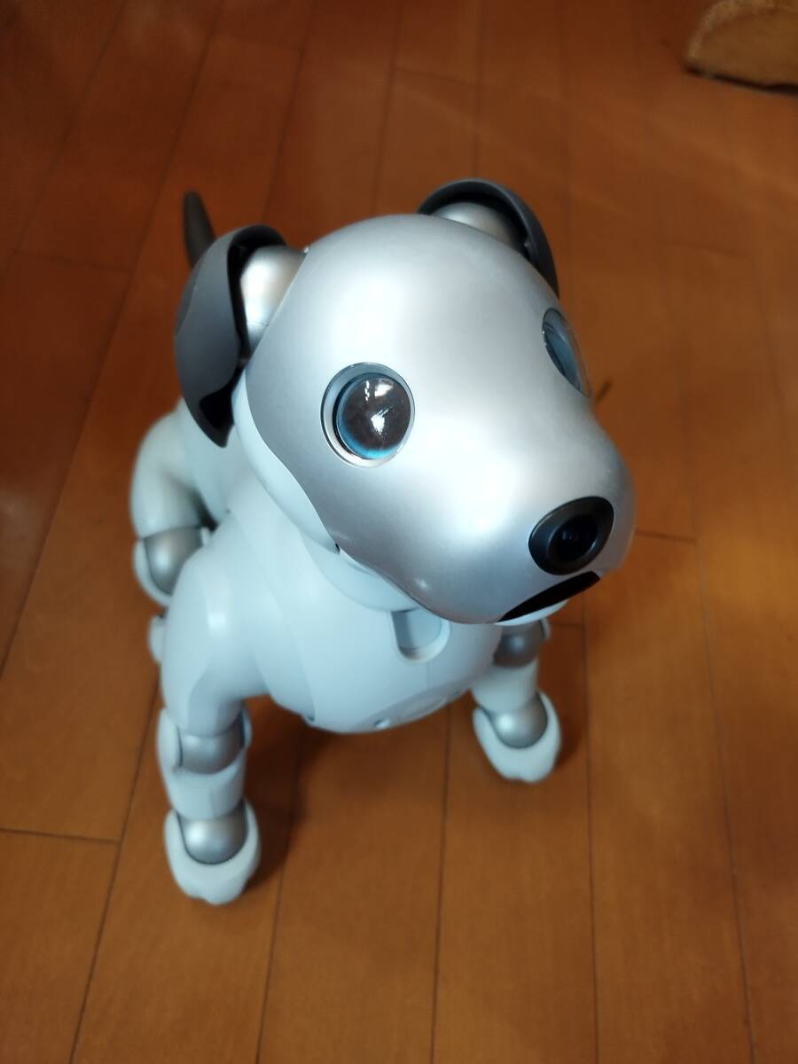 Sony AIBO ERS-1000 AI Robot Dog Ivory White w/ Charger Used From