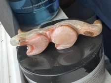 Zuni Lion Fetish Rosella Soseeah Fetish Butter Onyx F1738