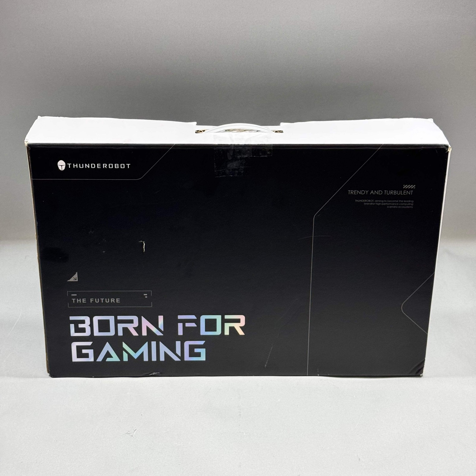 Thunderobot Laptop X17 17.3" Core i7-13620H 2.40GHz 64GB RAM 2TB SSD GeForce RTX