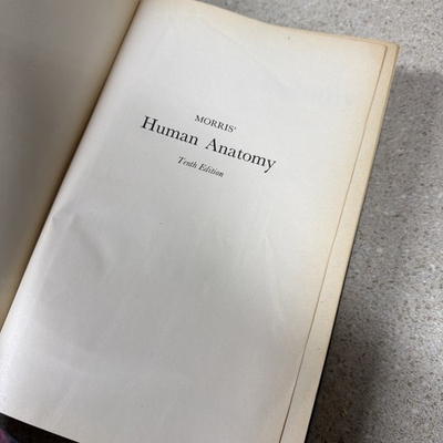 #ad #ad Morris#x27; Human Anatomy Schaeffer J. Parsons 10th Edition 1943 $18.00