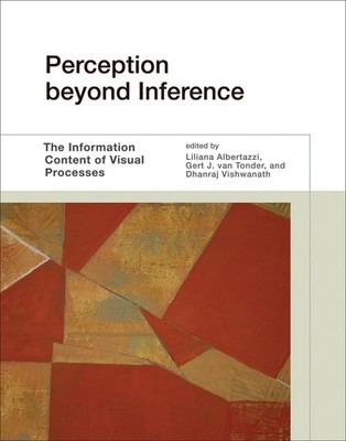 Perception beyond Inference: The Information Content of Visual Processes (Mi...