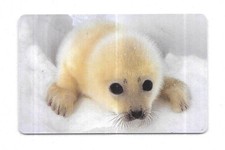 RARE / PHONE CARD - BABY SEAL SEAL / PHONECARD CALLING CARD TELECARD