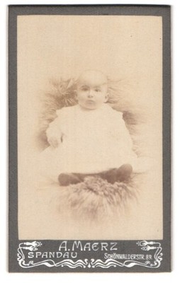 Photograph A. Maerz, Spandau, Schönwalderstraße 89, toddler sitting on fur 