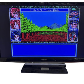 ARCUS 1, 2, 3 for Mega CD and ARCUS I, II, III for Mega Drive  So