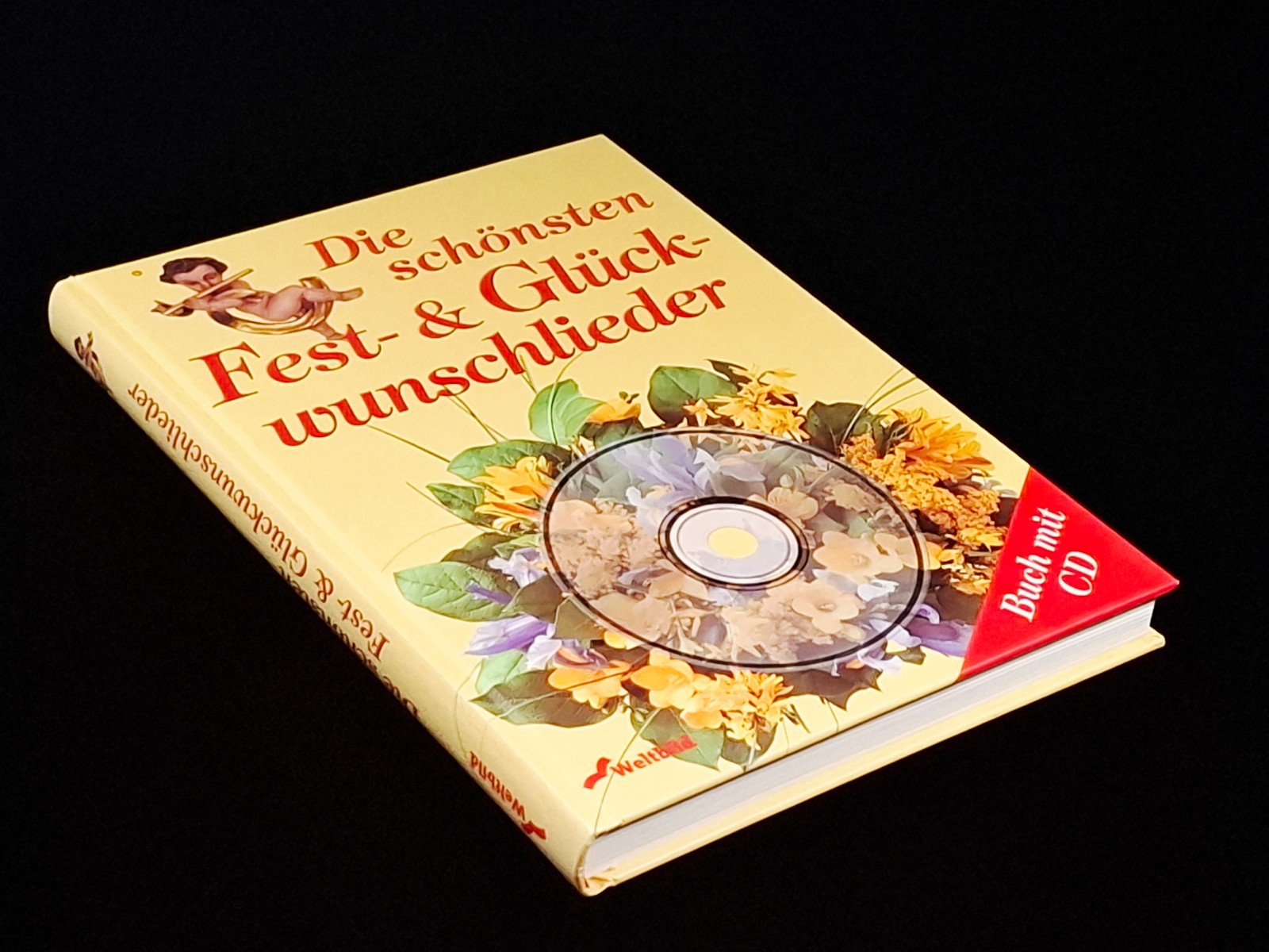 Die schönsten Fest- & Glückwunschlieder mit CD