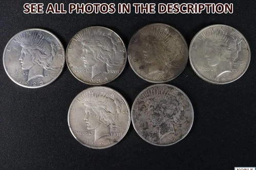 NobleSpirit Desirable 6x Silver Peace Dollar Mixed Date Lot to BU