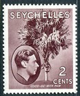 Timbre palmier coco-de-mer Seychelles SG 135 MM