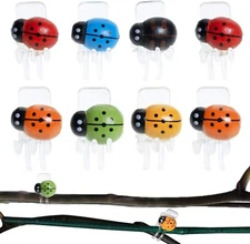 Orchid Clips 30Pcs Ladybug Plant Clips Orchid Support Clips Vine Clips Plant