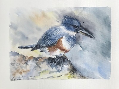  Kingfisher Bird Watercolor Original Painting
