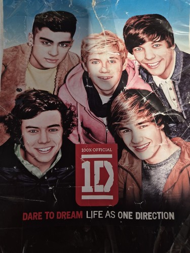 One Direction 120x160cm KIDS Lightweight Fleecy Blanket