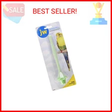 JW Pet Insight Sand Perch, Small, Assorted Colors