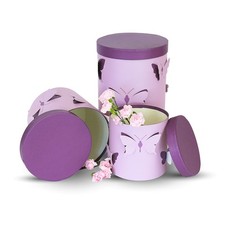 Set of 3, Round Flower/Gift Boxes with 3D Butterflies Design, Various Colors -
