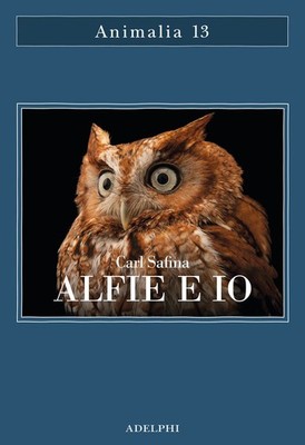 Buch - Carl Safina - Alfie und ich. Was Greifvögel wissen, was Menschen