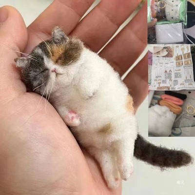Sheep Felt Poke Cat Handmade Material Bag Diy Wool Needle Felting Animal Gifts