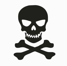 Skull N Bones Vinyl Die Cut Car Decal Sticker