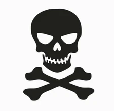 Skull N Bones Vinyl Die Cut Car Decal Sticker 