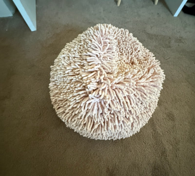 footrest, pink, fluffy, decor like piece 