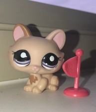 lps crouching cat