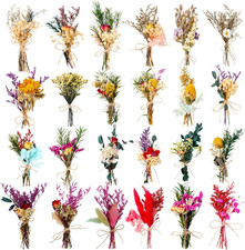24 Pcs Dried Flowers Bouquet Boho Mini Dried Flower with Stem Small Floral Plant