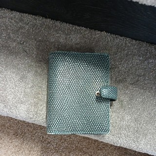 Filofax Chameleon pocket real leather ("lizard" texture) rulers green / blue