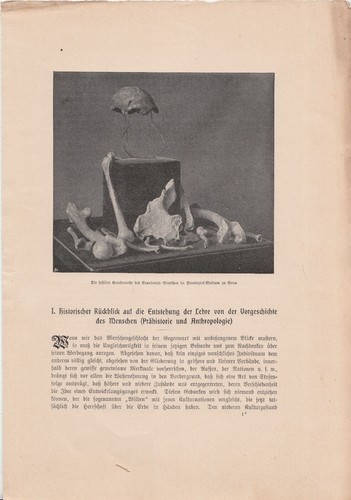 Alte ANTIKE KUNSTDRUCKE von 1902 aus Wissenschafts-Magazinen ECHT Buchseiten A4 - Bild 2 von 24