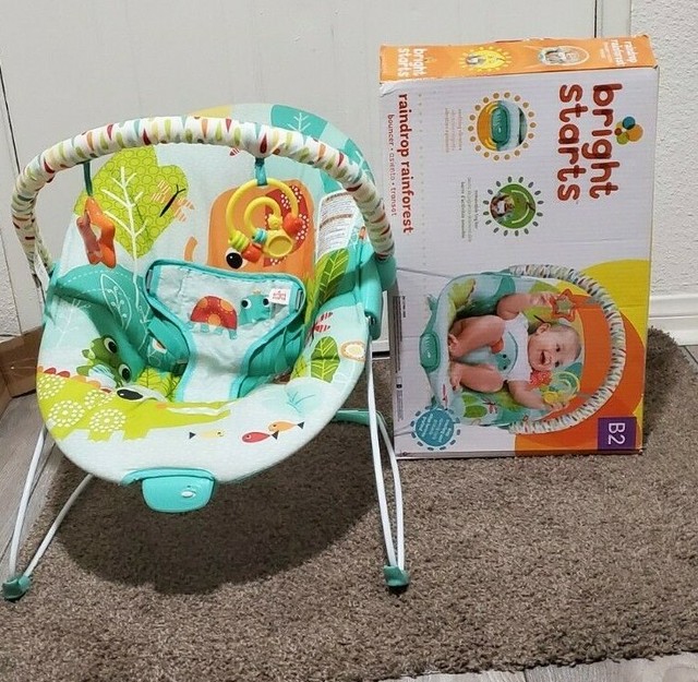raindrop rainforest bouncer