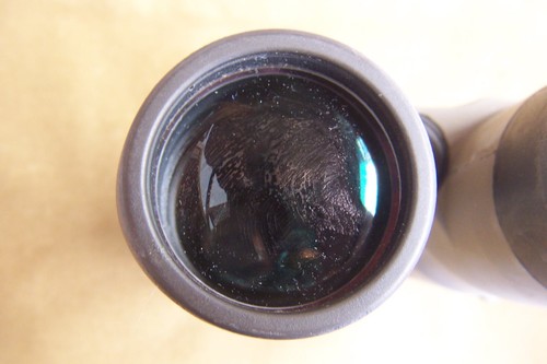 KOWA binoculars-10 x 45 -Japan-1200-multicoated optics - Picture 7 of 24